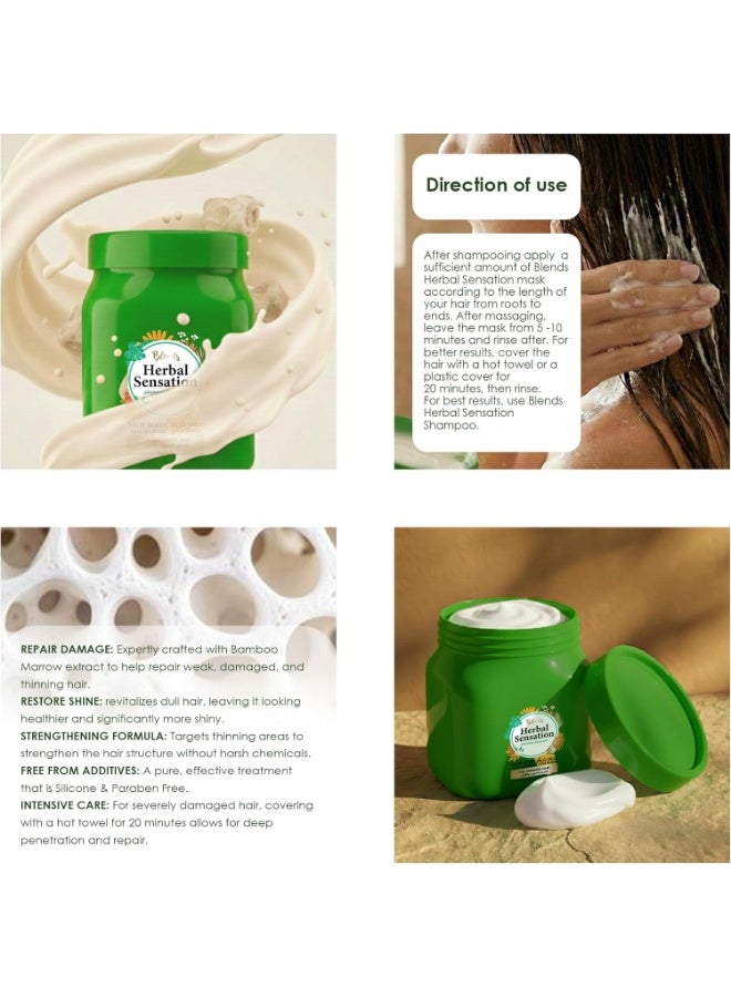 Blends Herbal Sensation Marrow Hair Mask for Damaged Hair – Repair Treatment for Thinning & Weak Hair – Silicone & Paraben Free – 600 ml - Image 3